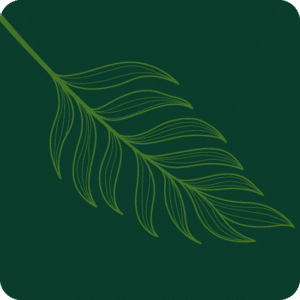 L'Haies Pro logo