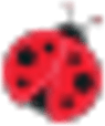 Ladybug Arborists