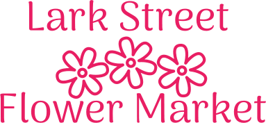 Lark Street Flower Market