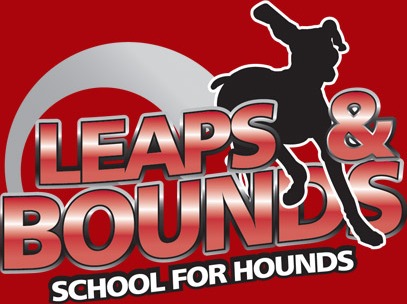 Leaps & Bounds School For Hounds Ltd