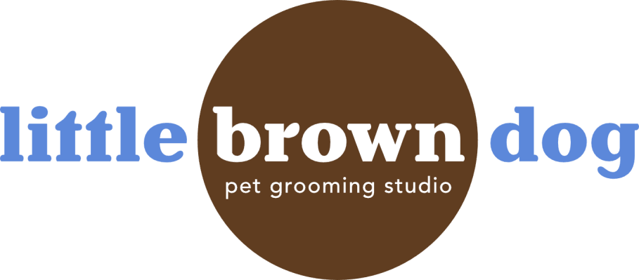 Little Brown Dog