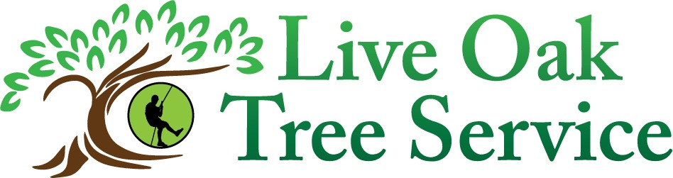 Live Oak Tree Service