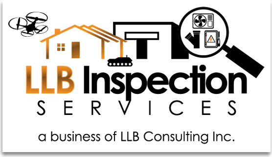 LLB Inspection Services