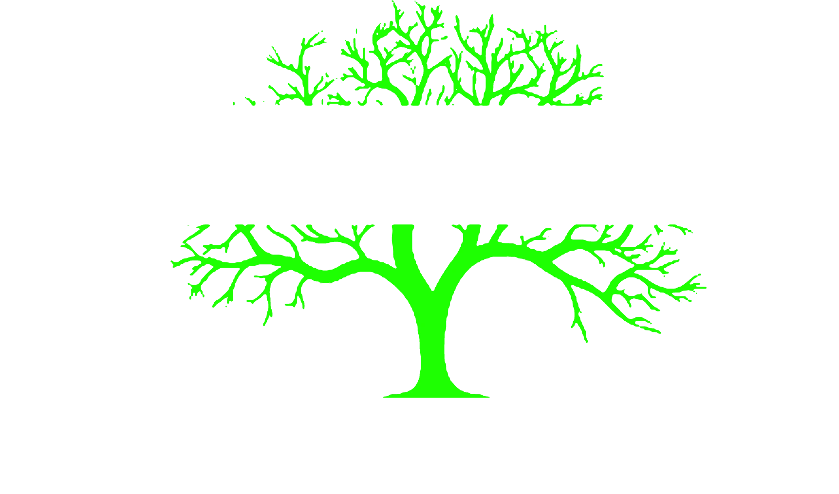 Local Tree Care