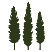Lombardi Tree Service
