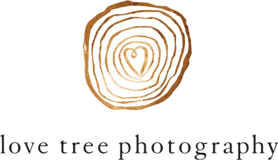 Love Tree Photography