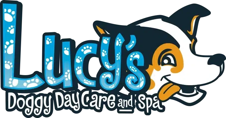 Lucy's Doggy Daycare and Spa