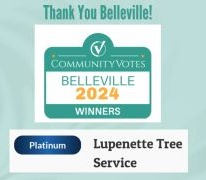 Lupenette Tree Service
