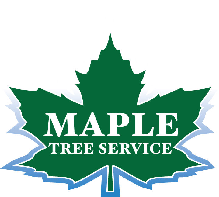 Maple Tree Service