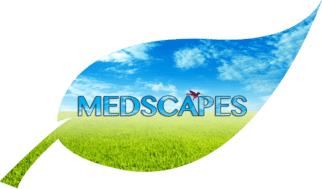 Medscapes LLC