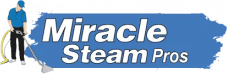 Miracle Steam Pros