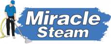 Miracle Steam