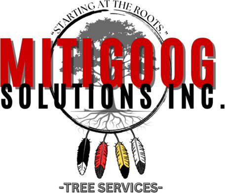 Mitigoog Solutions Inc.