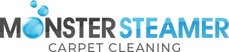 Monster Steamer Carpet Cleaning