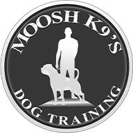moosh k9 academy
