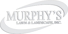 Murphy's Lawn & Landscape, Inc. logo