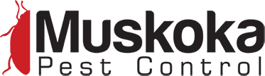 Muskoka Pest Control