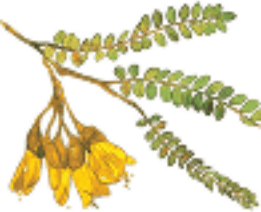 Naturescapes