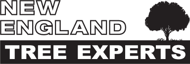 New England Tree Experts logo