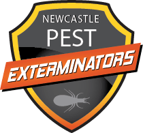 Newcastle Pest Exterminators