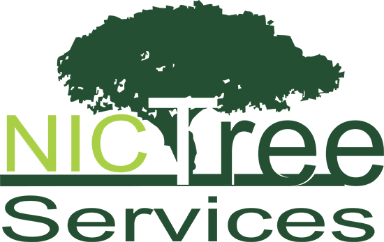 Nic Tree Services