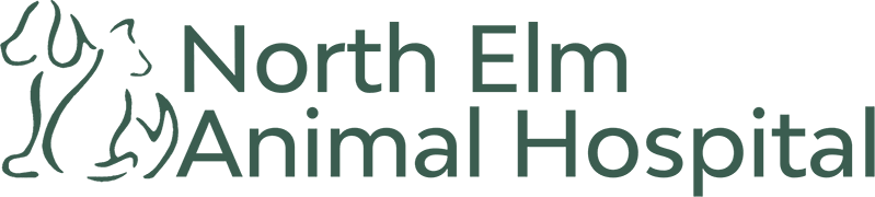 North Elm Animal Hospital