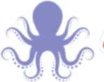 Octopus Pool Service & Repair