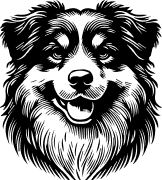 Okanagan Groom 'N' Go logo