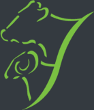 Paragon Veterinary Group