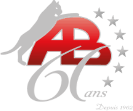 Pavage et aménagement paysager Antonio Borsellino Inc.