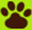 Paw Hub logo