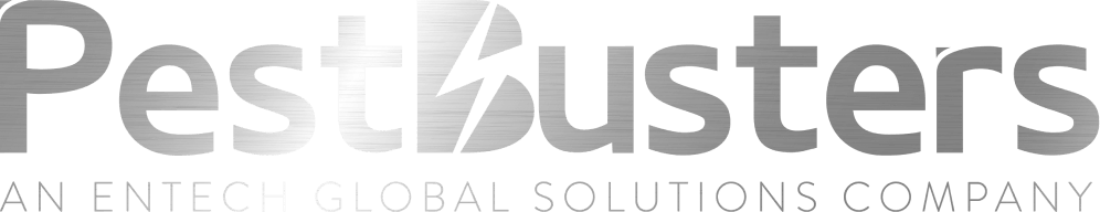 PestBusters Pte Ltd