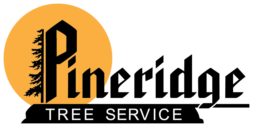 Pineridge Tree Service