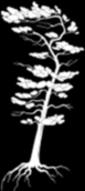 Pinetree Catering logo