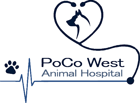 Poco West Animal Hospital logo