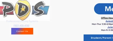 Professional Driving Systems logo