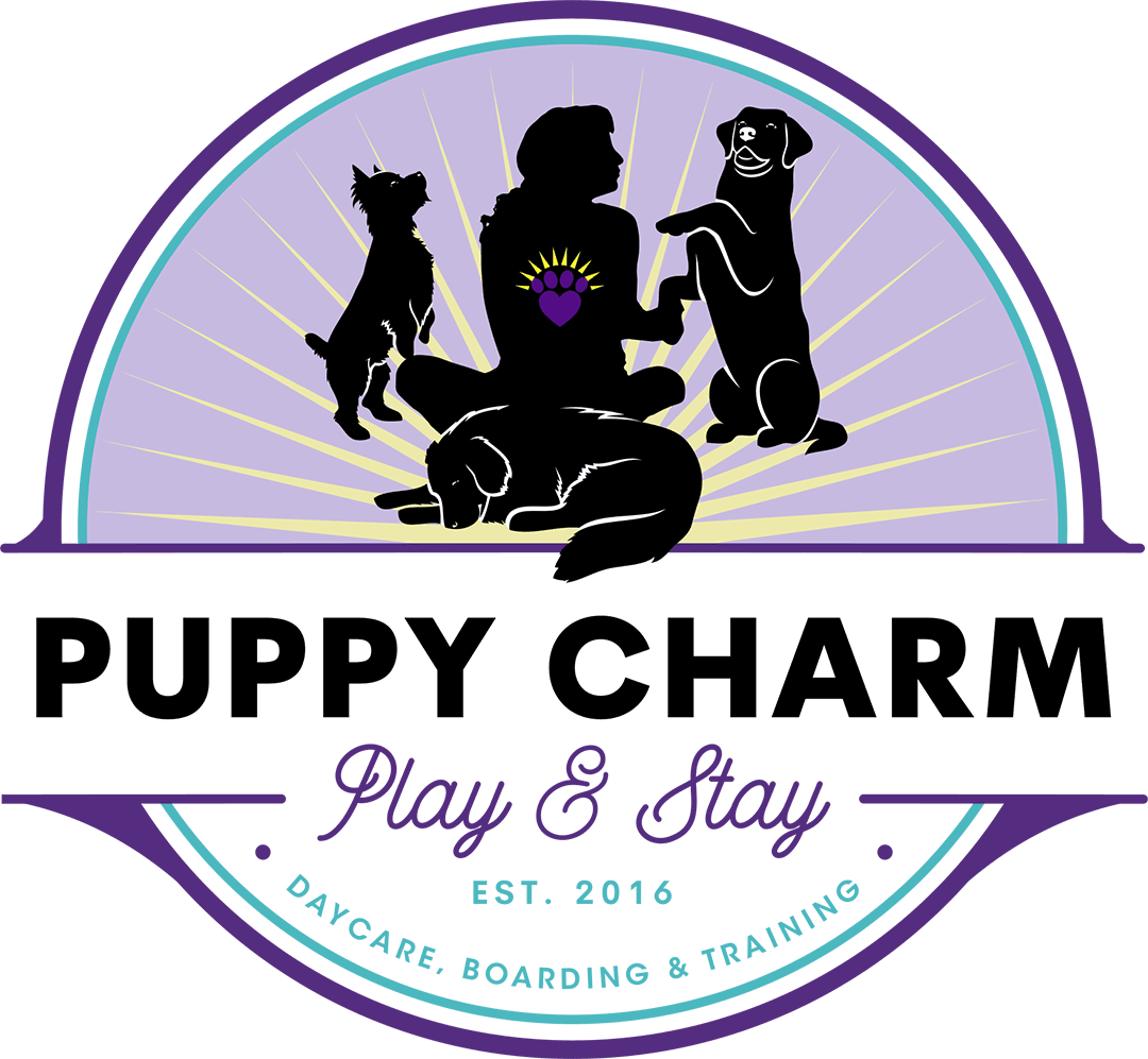 Puppy Charm Dog Grooming