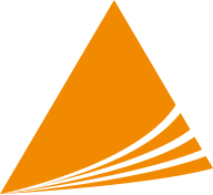 Pyramid Financial Services logo