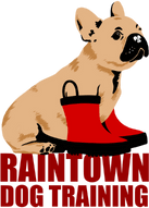 Raintown Dog Training