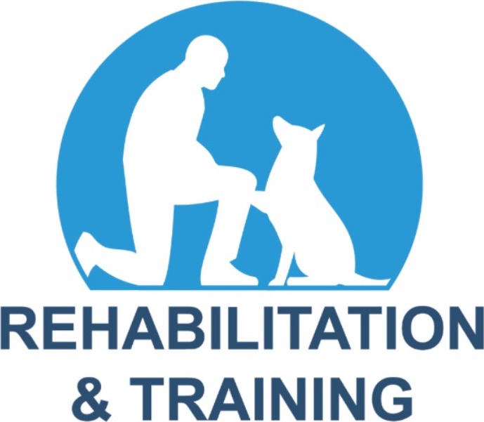 Rehabilitation and Training