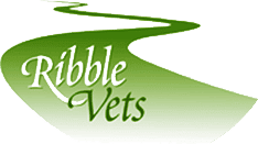 Ribble Vets