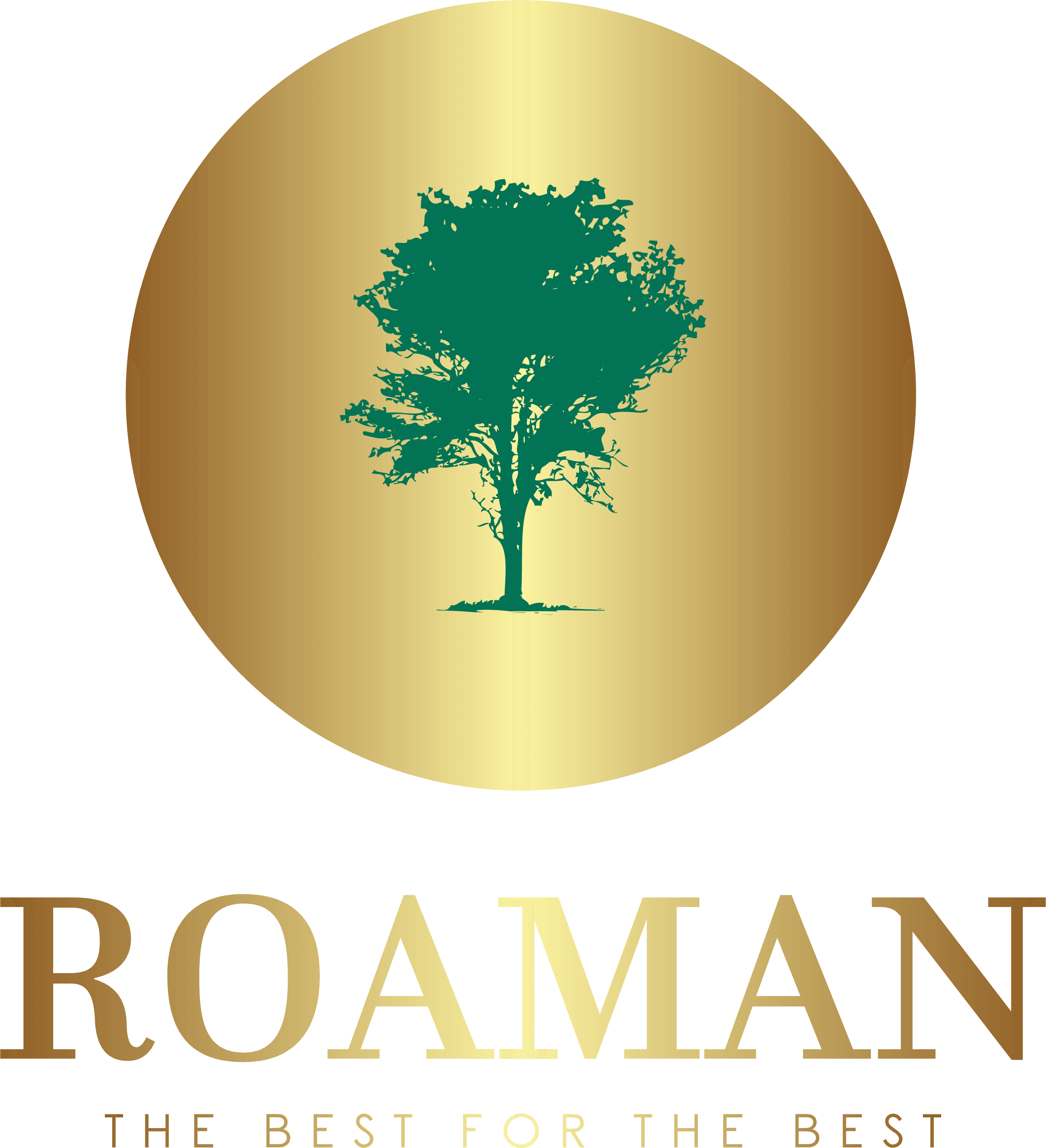Roaman Cleaning Services logo