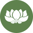 Royal Lily Thai Massage and Herbal Spa