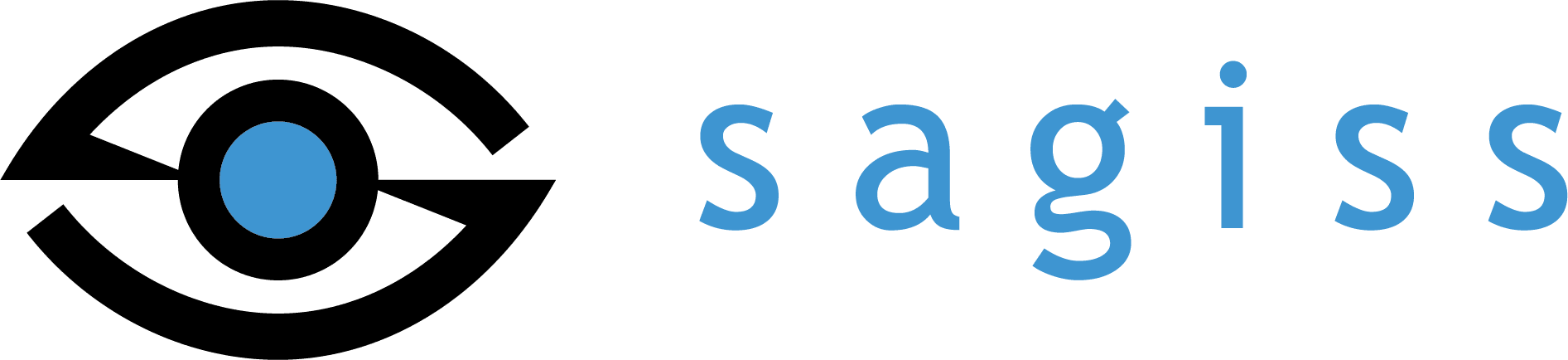 Sagiss, Inc. logo