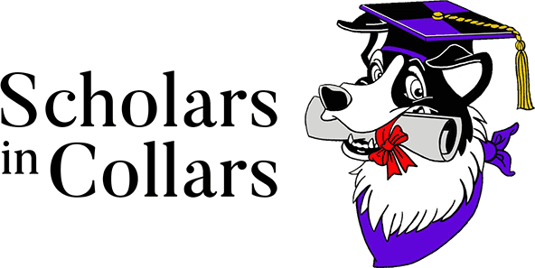 Scholars In Collars Dog Training