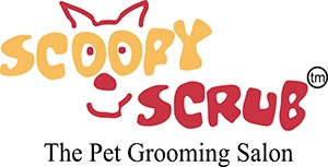 Scoopy Scrub