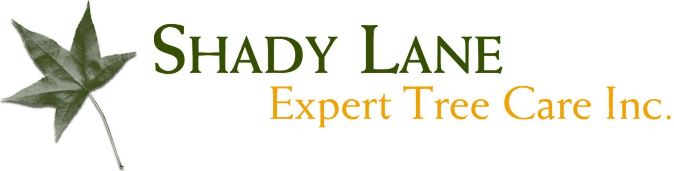 Shady Lane Expert Tree Care logo