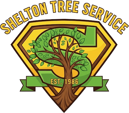 Shelton Tree Service