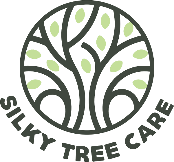 Silky Tree Care
