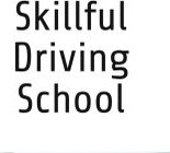 Skillful Driving Lessons
